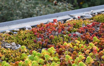 the cost of Lanesfield green roof installation