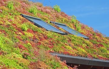 Lanesfield living roof systems